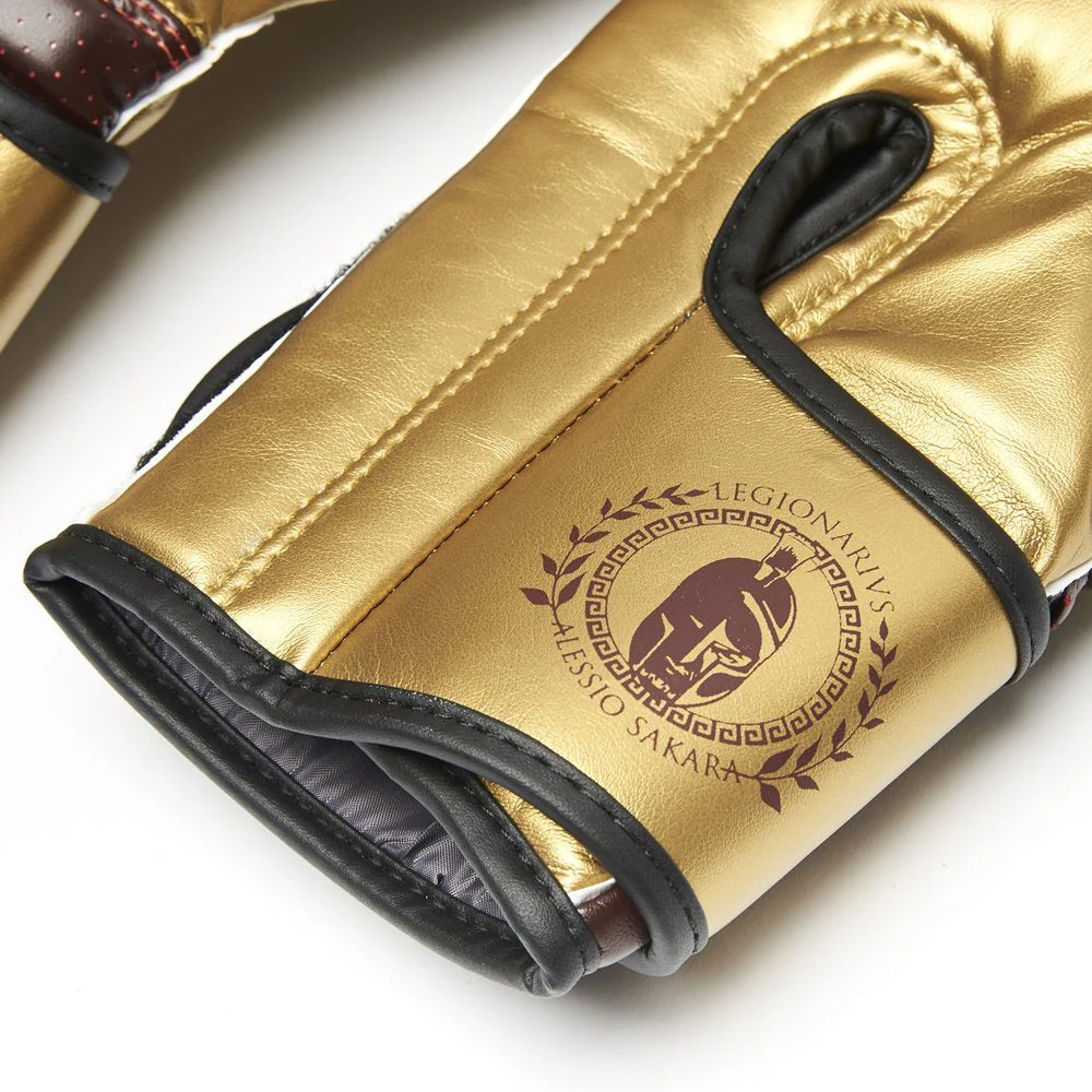 Guantes de boxeo Leone Legionarivs GN202  - Image 7