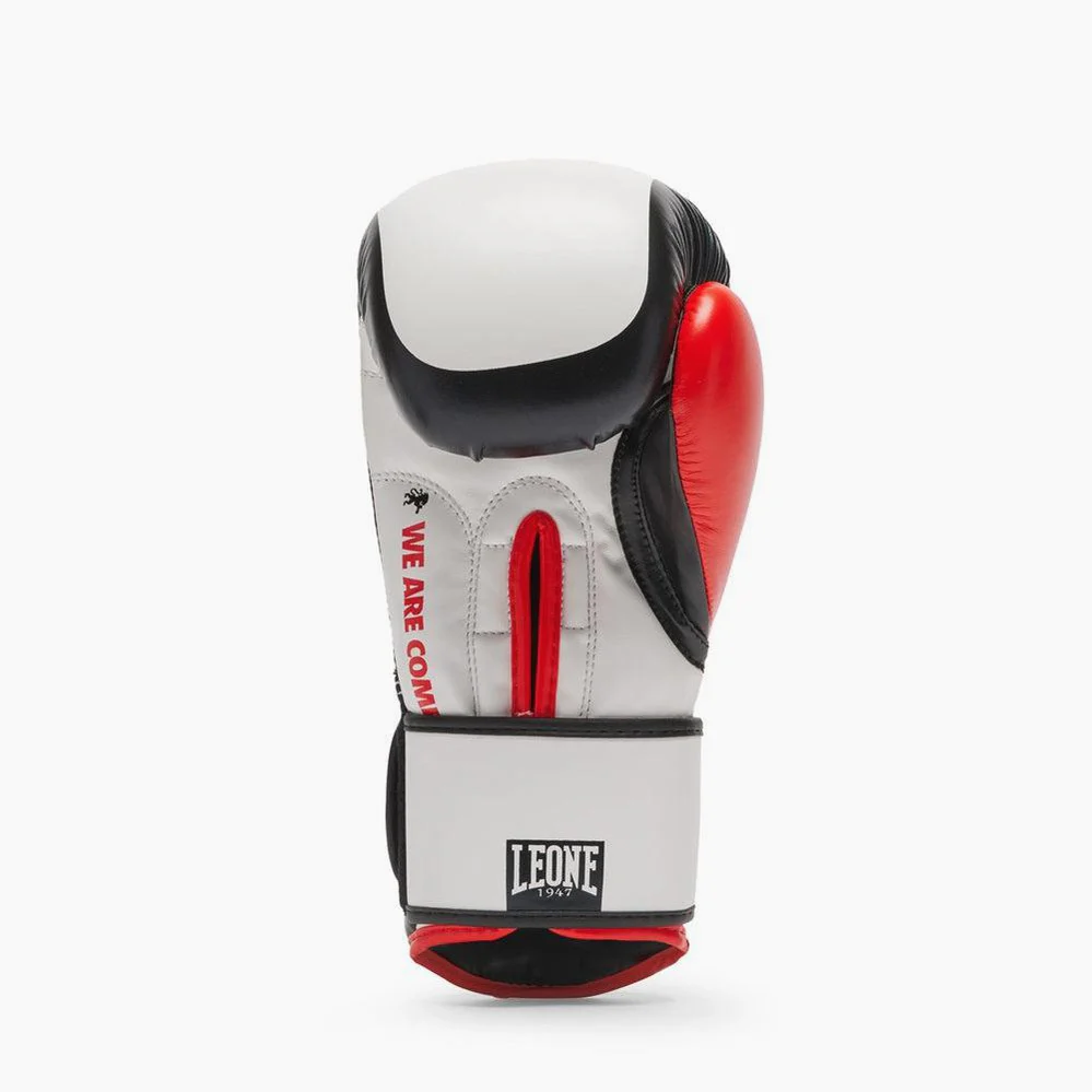 Guantes de boxeo Leone Logo WACS GN333  - Image 22