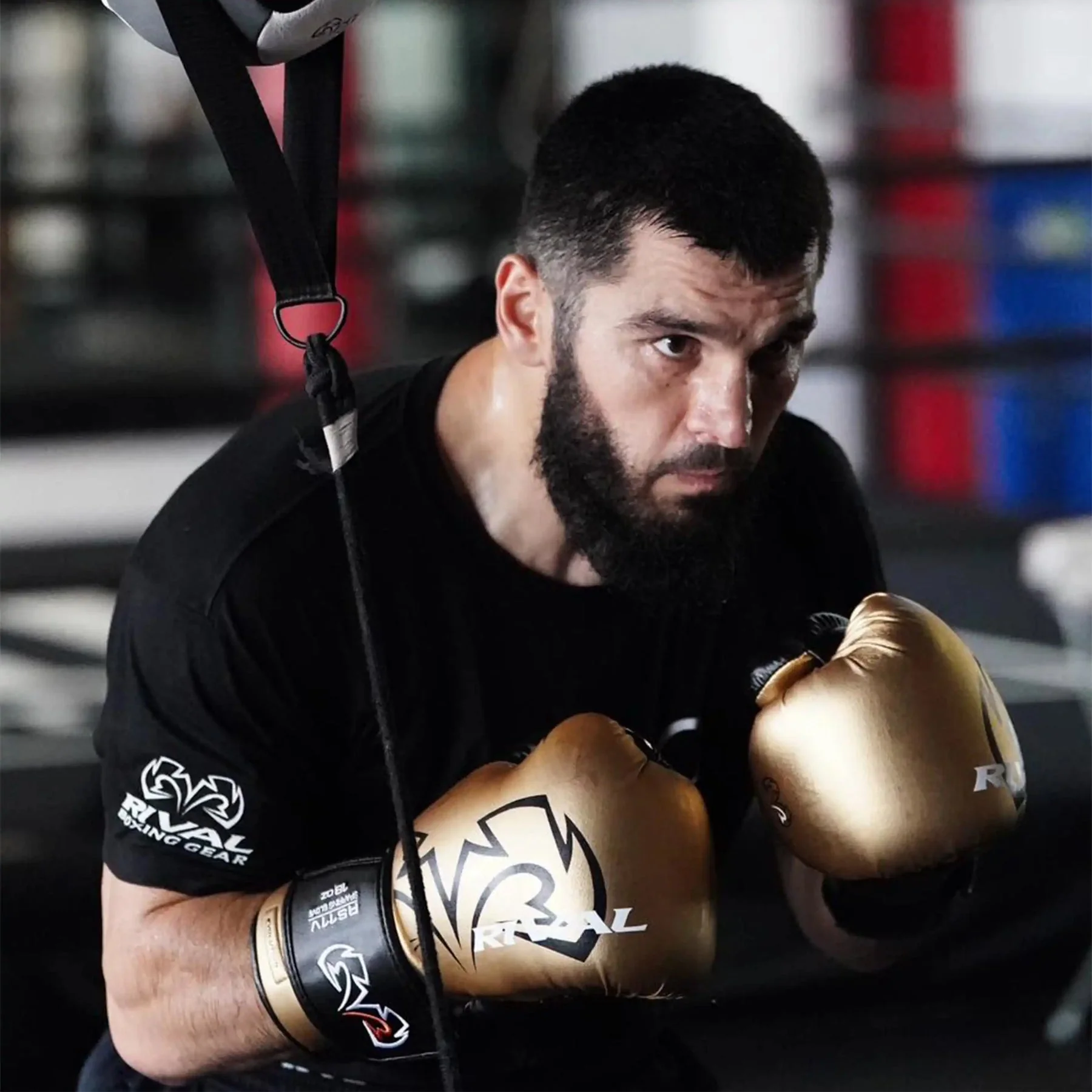 Guantes de boxeo Rival Evolución Sparring RS11V  - Image 17