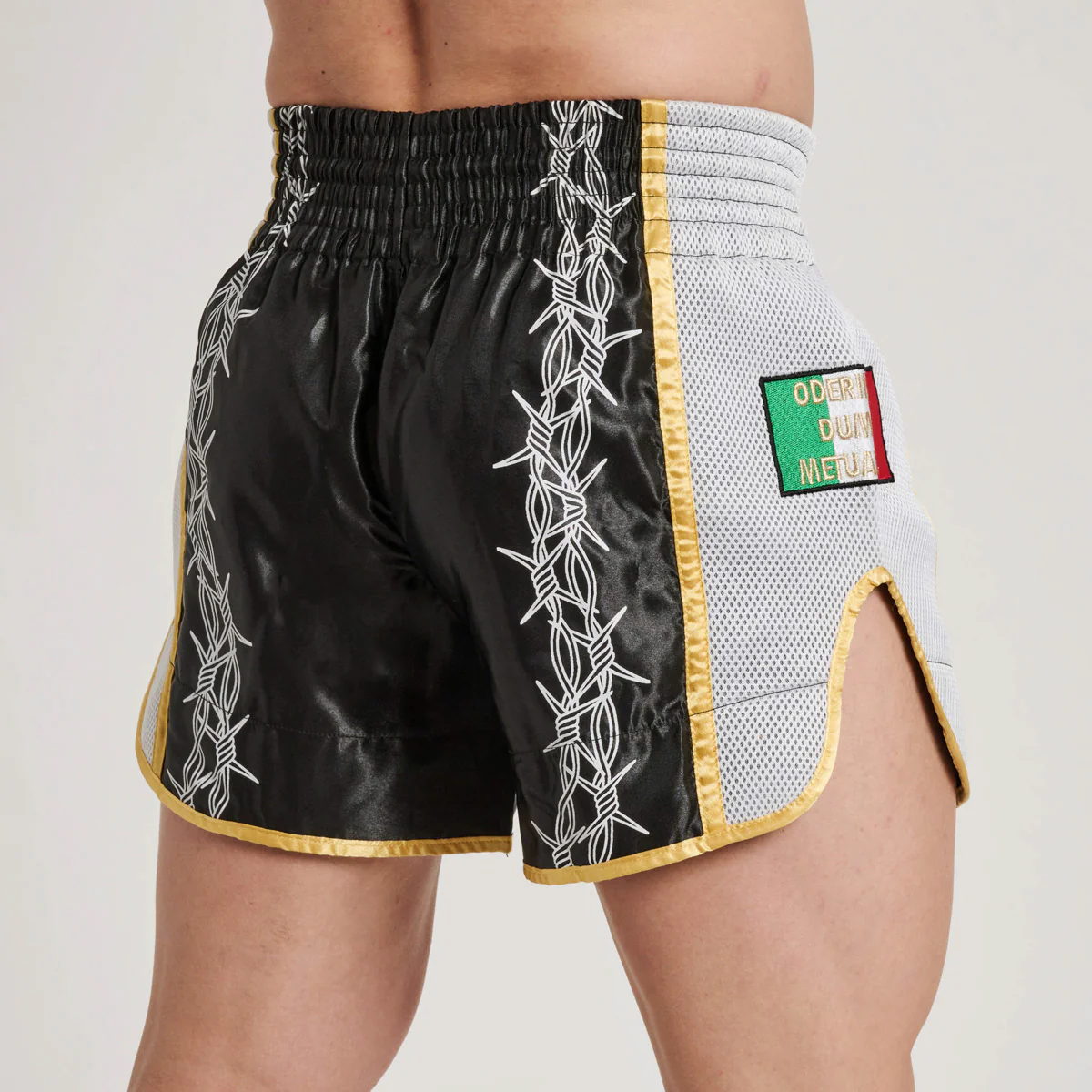 Pantalones cortos kick-tailandés Leone IUTER Barbed Wire AB05IU Nero  - Image 4