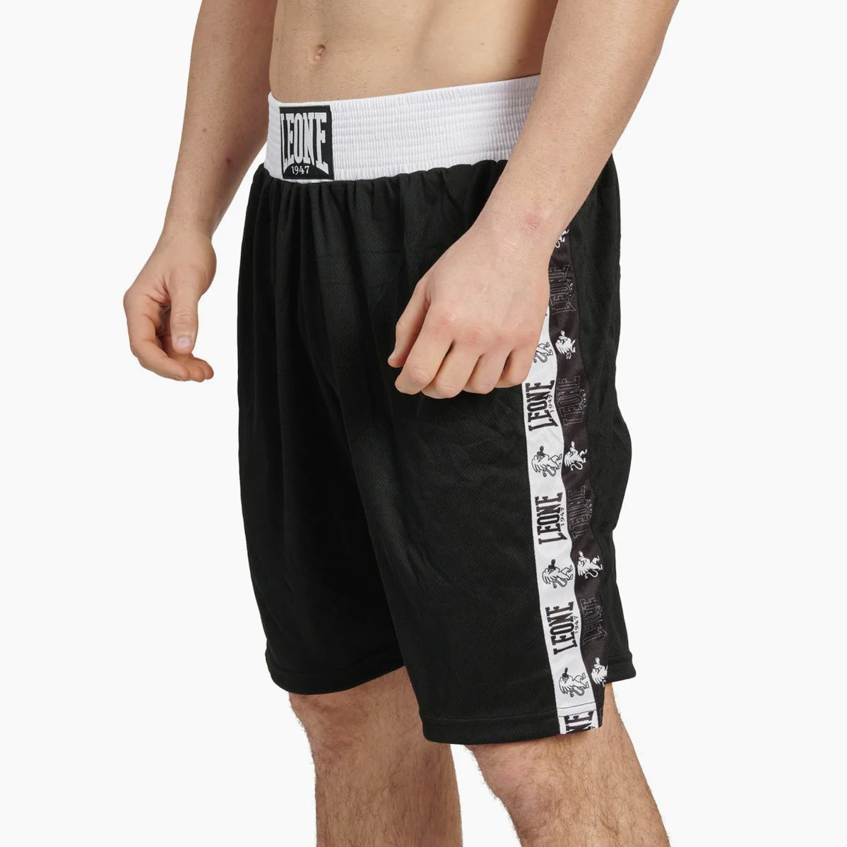 Pantalones de boxeo Leone Iconic AB232  - Image 2
