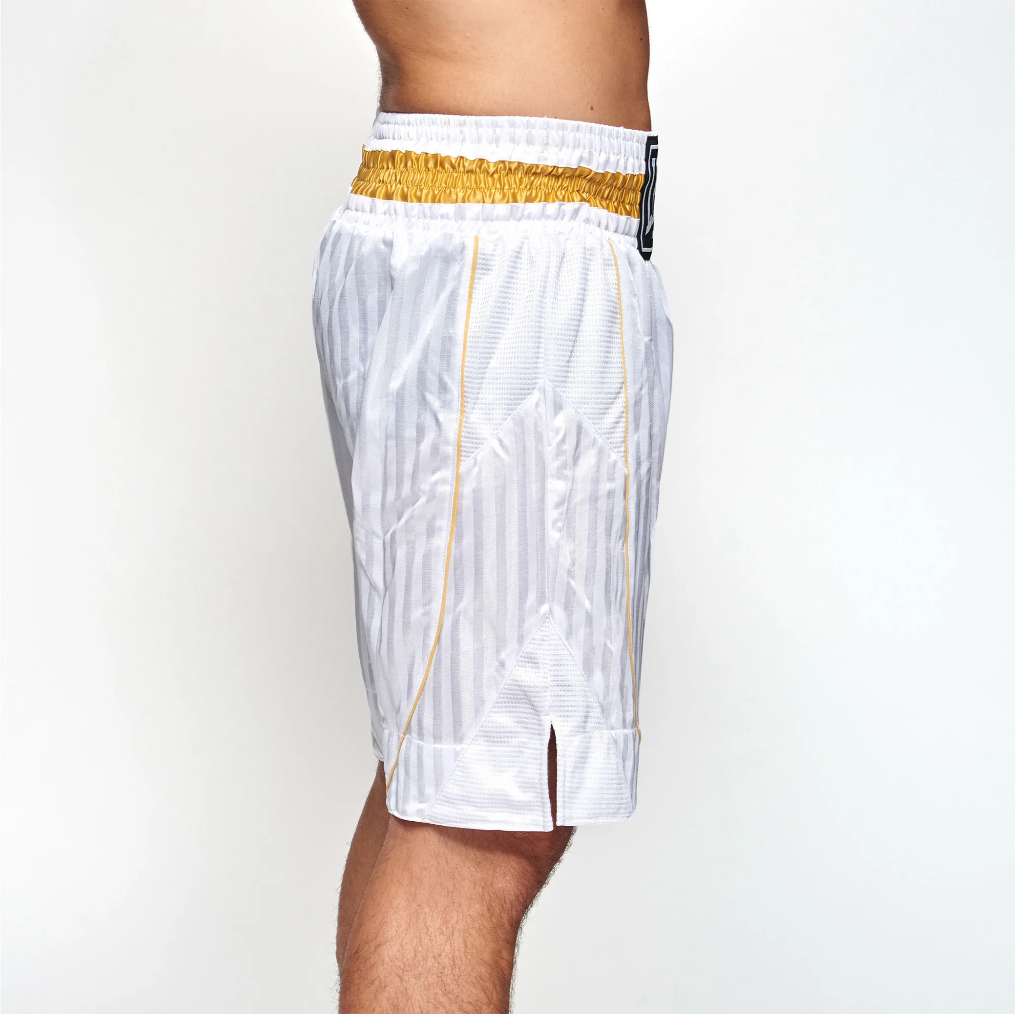 Pantalones de boxeo Leone Premium AB240  - Image 11