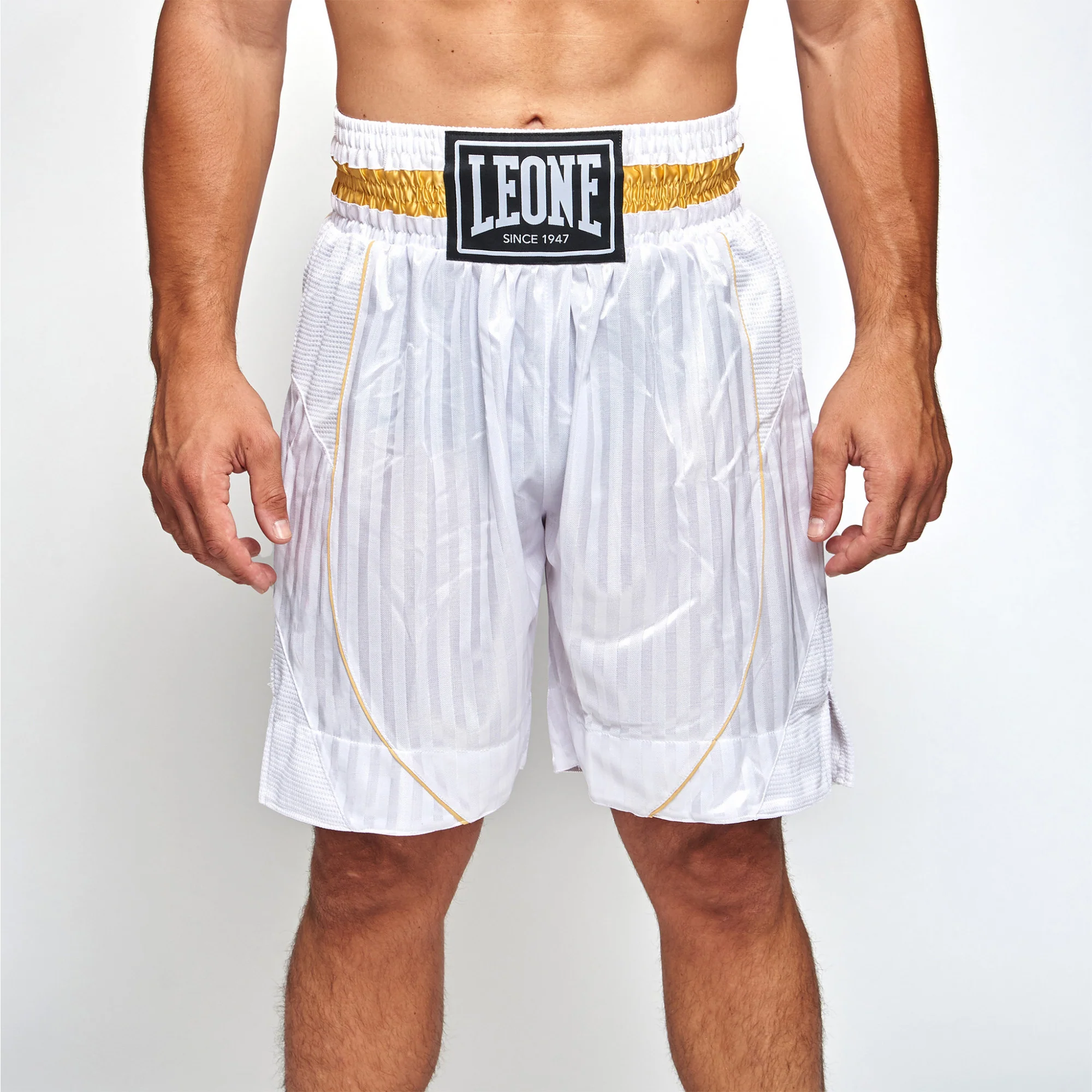 Pantalones de boxeo Leone Premium AB240  - Image 7