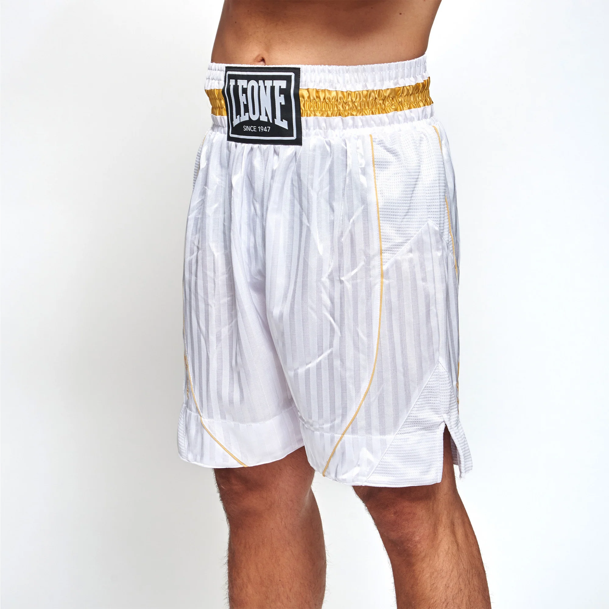 Pantalones de boxeo Leone Premium AB240  - Image 9