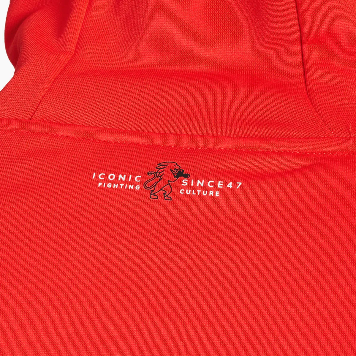 Sudadera de chándal Leone Iconic con capucha ABX436  - Image 24