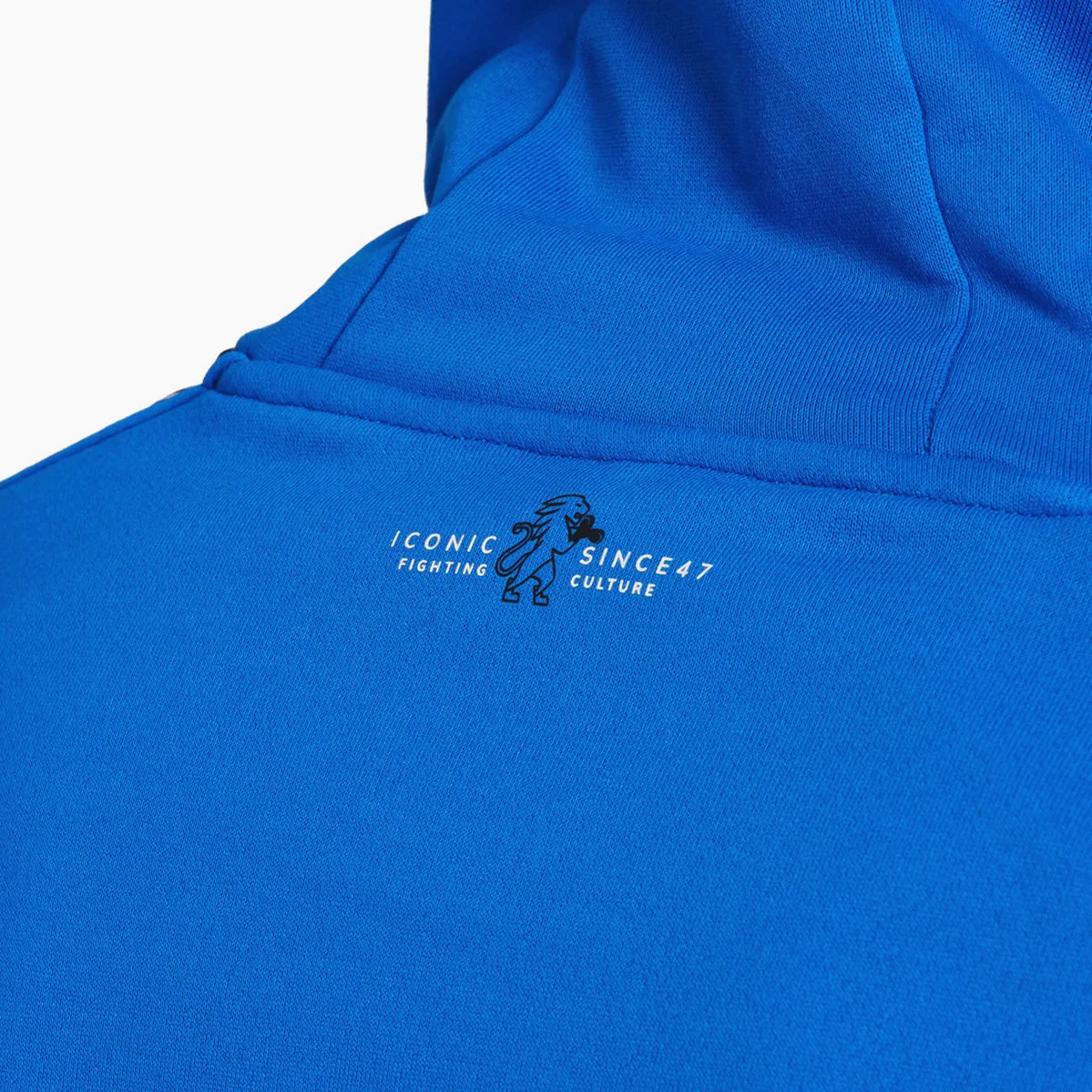 Sudadera de chándal Leone Iconic con capucha ABX436  - Image 35